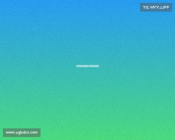 上海公益体育赛事,上海市公益活动